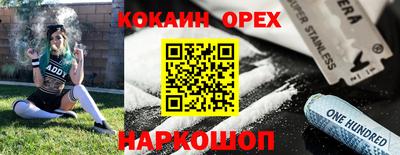 тгк Тула